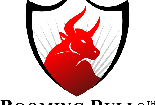 Booming Bulls Logo