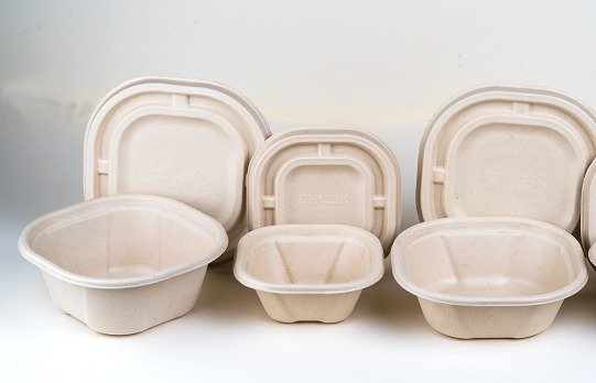 bagasse-based packaging