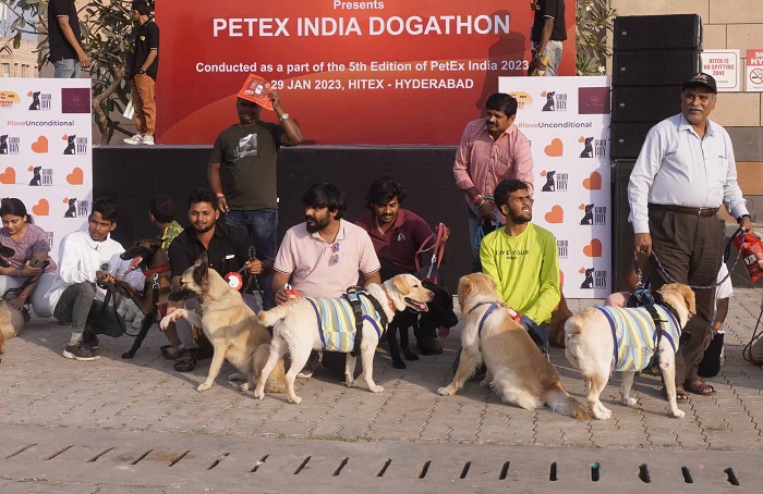 Dogothon Race