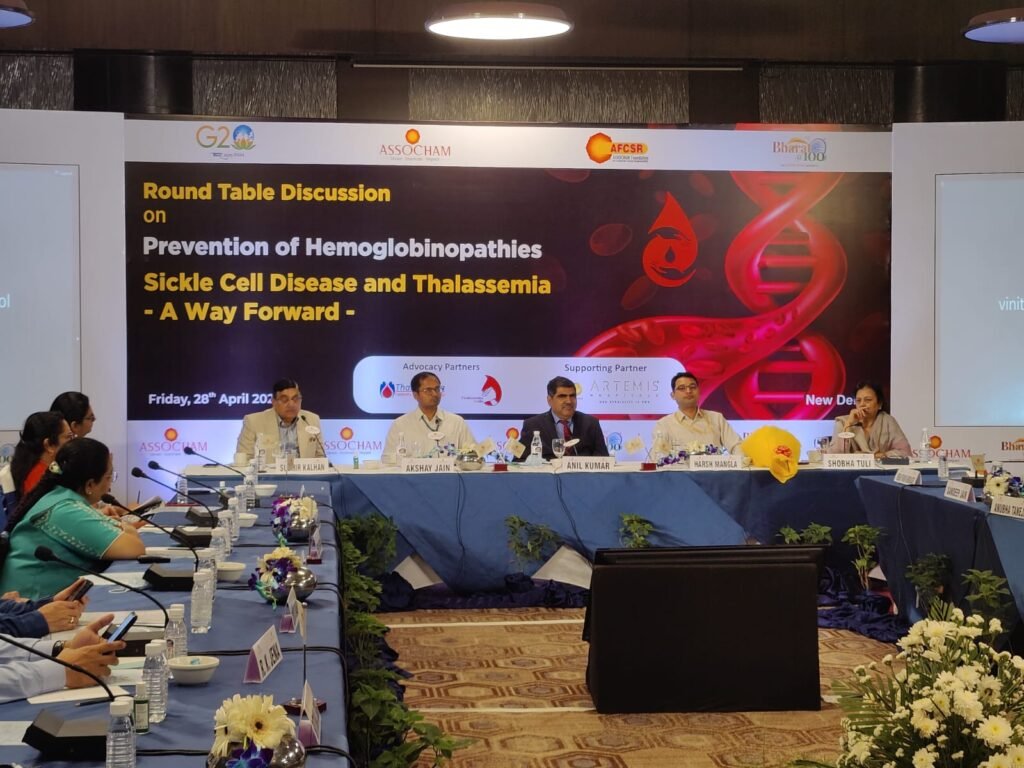 TPAG and ASSOCHAM national roundtable conference image 2
