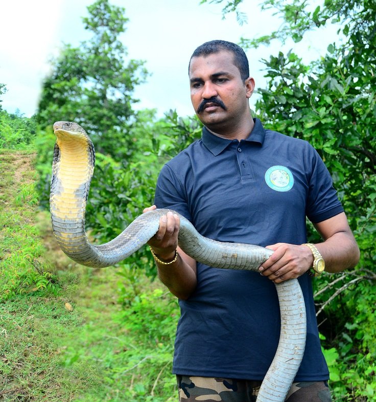 Akash sarpmitra 