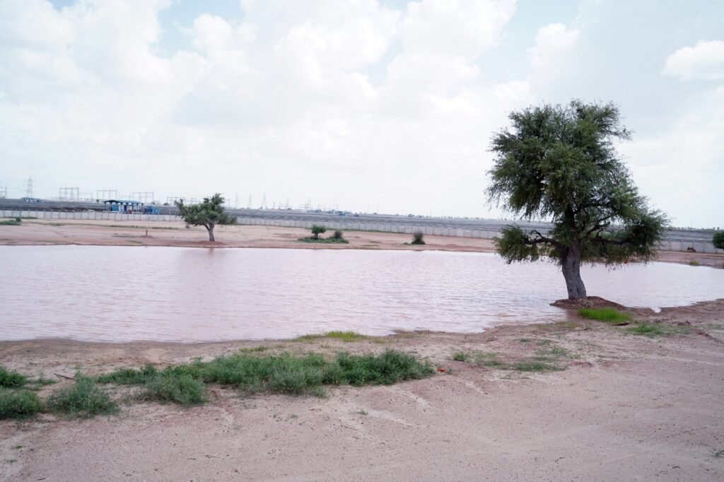 Ponds in Rajasthan 2