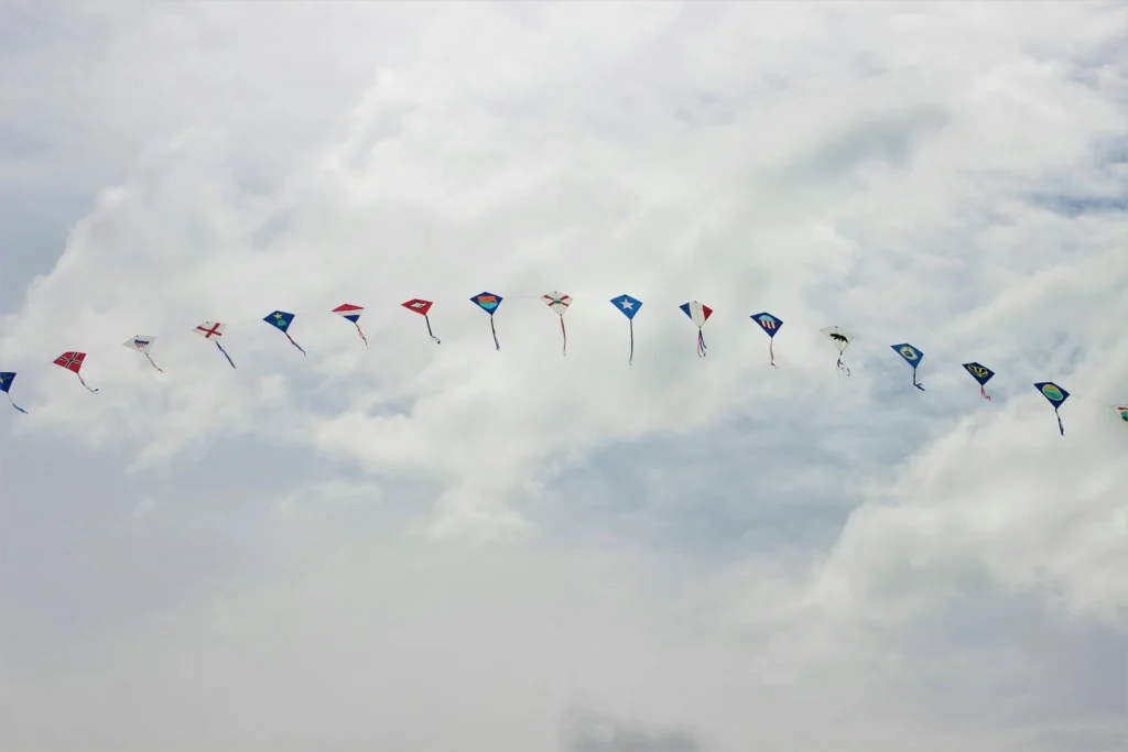 kites