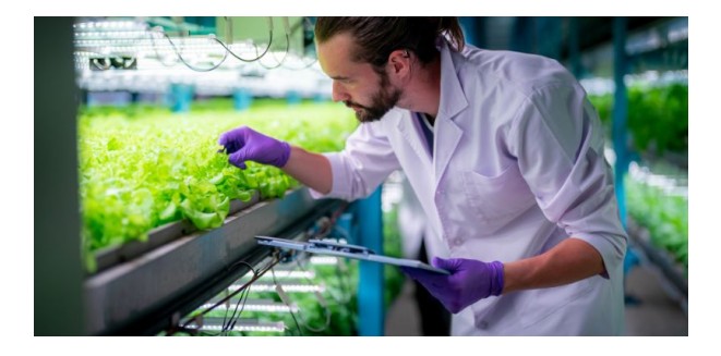 Plant Health and Growth